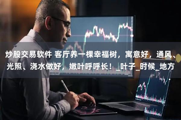 炒股交易软件 客厅养一棵幸福树，寓意好，通风、光照、浇水做好，嫩叶呼呼长！_叶子_时候_地方