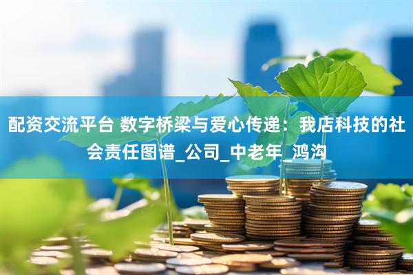 配资交流平台 数字桥梁与爱心传递：我店科技的社会责任图谱_公司_中老年_鸿沟