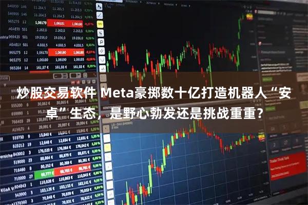 炒股交易软件 Meta豪掷数十亿打造机器人“安卓”生态，是野心勃发还是挑战重重？